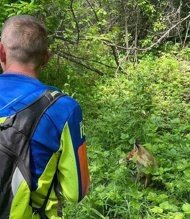 Прокат мото в Ширяево,пототуры групповые в Ширяево и по Самарской оласти , PROHVAT 163